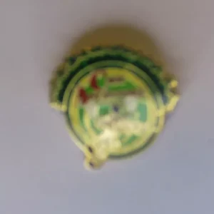 Disney Mickey Mouse Animal Kingdom Anniversary Pin