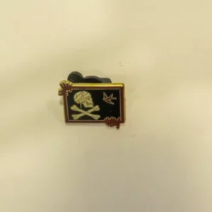 Disney Pirates Skull and Cross Bones Flag Pin
