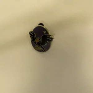 Disney Raven Hidden Mickey Pin