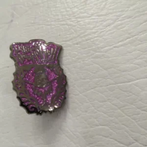 Disney Evil Queen Purple Pink Glitter Pin