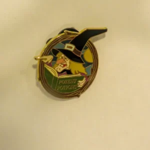 Disney    Where Evil Spells Are Always Broken 2007 Witch Hazel GWP Pin