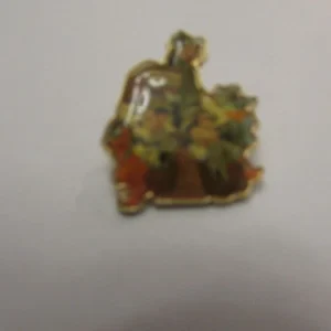 Disney Animal Kingdom Group Safari Pin