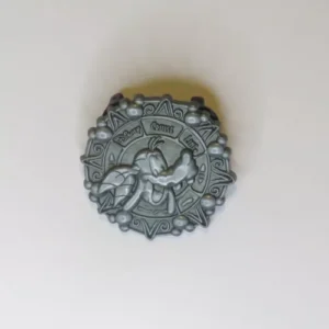 Disney DCL pirate reveal conceal mystery   goofy silver coin only Pin