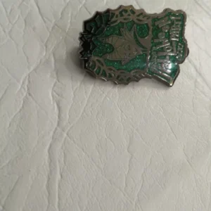Disney Maleficent Halloween Pin