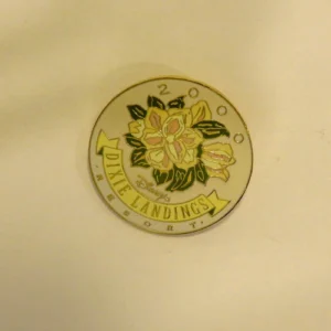 Disney Dixie Landings Logo 2000 Pin
