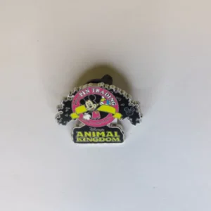 Disney Hidden Mickey Pin Animal Kingdom Pin