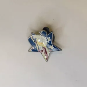 Disney DLR  Donald Duck  Patriotic Star Salute  Hidden Mickey Pin