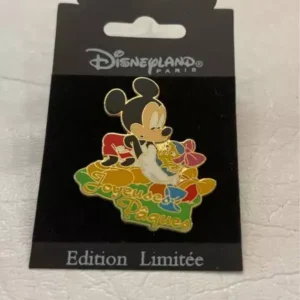 Disneyland Paris Mickey Character Pin