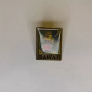 Disney DS  Walking Classic Mickey Store Location  Hawaii Pin