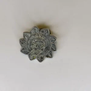 Disney Hidden Mickey Princess Flowers Tiana CHASER Pin