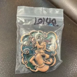 Disney Goofy Airplain Character Pin