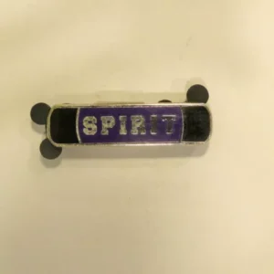 Disney   2010 Varsity Icons Mystery Pouch  Purple Spirit  Pin