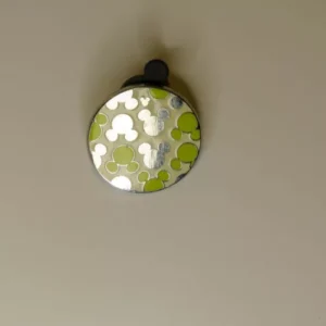 Disney 2010 hidden mickey brights watches silver and green Pin