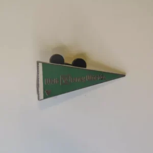 Disney WDW   Hidden Mickey   Walt Disney World Pennant  Green Pin