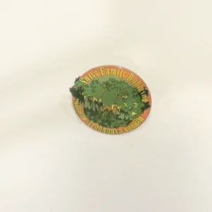 Disney Swiss Family Tree Robinson Logo Treehouse Pin