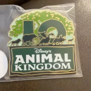 Disney Animal Kingdom Park Pin