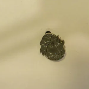 Disney Iago Jafar Parrot Chaser Hidden Mickey Pin