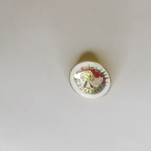 Disney   Goofeteer Pin