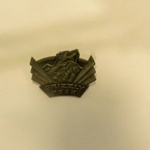 Disney   Grizzly Peak  Grand Opening Pewter Boxed Set  Cast Member Pin