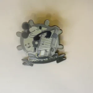 Disney DS Magical Musical Moments Turkey in the Straw Pin