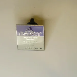 Disney WDW Fast Pass Series Expedition Everest 2007 Series 2 Pin