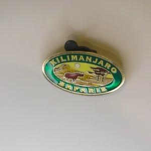 Disney Pin 106917 Animal Kingdom Kilimanjaro Safaris Ride Attraction