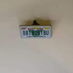 Hidden Mickey BBTBOBTBU License Plate Disney Pin Cinderella D