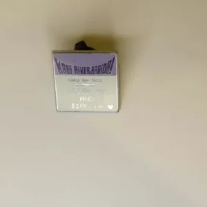 Wdw Disney 2008 Kali River Rapids Fastpass Replica Hidden Mickey Pin