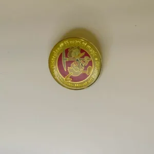 Disneyland 35 Years Of Magic Big Thunder Mountain Railroad Lapel Hat