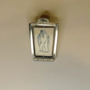 Disney Wdw Disney Animation Legends Series 9 Old Hag Pin Le 5000