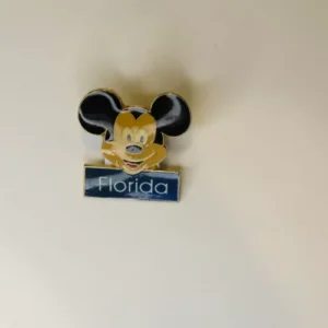 Disney Mickey Name and Head Pin