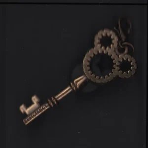 Disney Cast Exclusive 5 Keys Pin