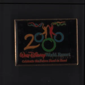Vintage 2000 Walt Disney World Resort In Florida Souvenir Pin