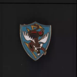 WWII USAF 23rd Flying Tigers Pin