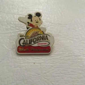Disney Mickey California Adventure  Pin