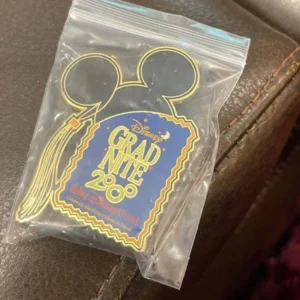 Disney Grand Nite WDW Pin